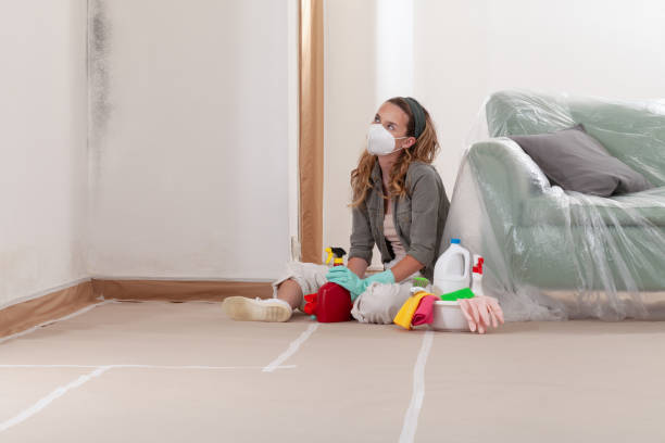 Reliable Mold Testing contractor in Itasca, TX by WQB Mold Removal